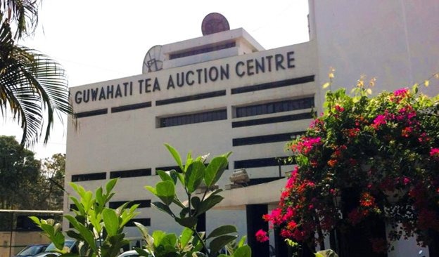 Gauhati-Tea-Auction-centre