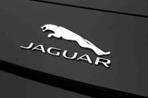 Jaguar brand logo which is own by Tata Group