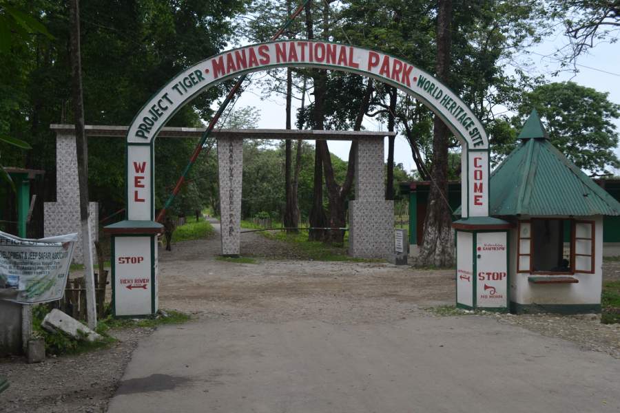 Manas National Park Gate